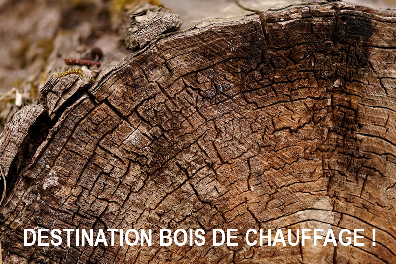 Produits sans pictogrammes de danger, d'origine végétale, totalement biodégradables pour la première et deuxième transformation du bois. industrie du bois. sciage du bois. Scierie bois. Fluide végétal. Dégraissant végétal. Lubrifiant végétal. Substitut gas oil. Industrie du bois